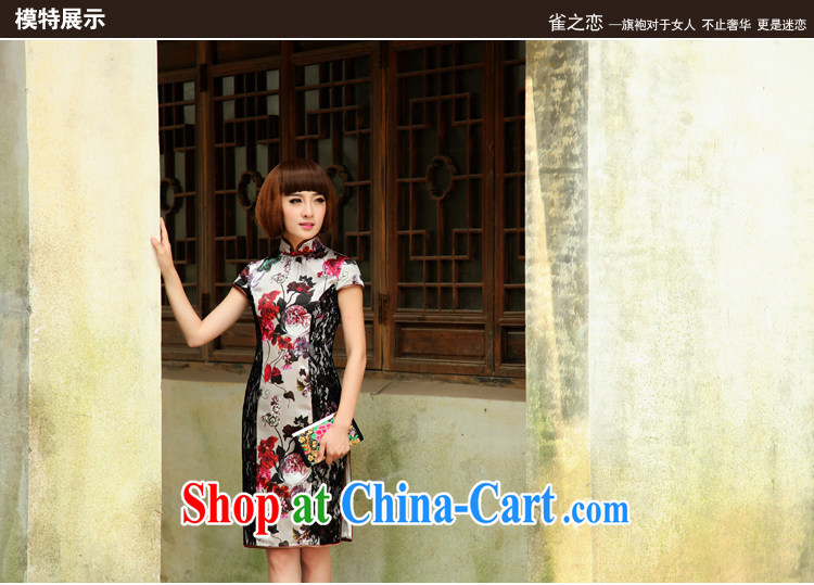 Birds love tack General nostalgic 2015 spring new lace stitching improved fashion cheongsam QD 502 fancy S pictures, price, brand platters! Elections are good character, the national distribution, so why buy now enjoy more preferential! Health