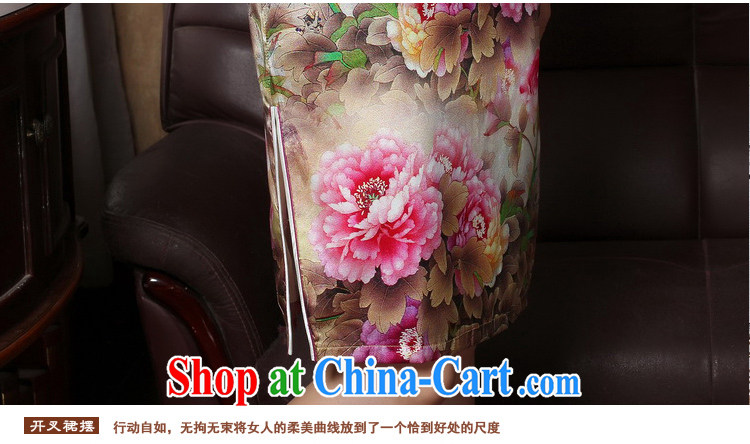 The cross-sectoral scored her 2015 summer New Silk Cheongsam dress improved stamp duty and stylish beauty routine cheongsam dress 3185 Y B L pictures, price, brand platters! Elections are good character, the national distribution, so why buy now enjoy more preferential! Health