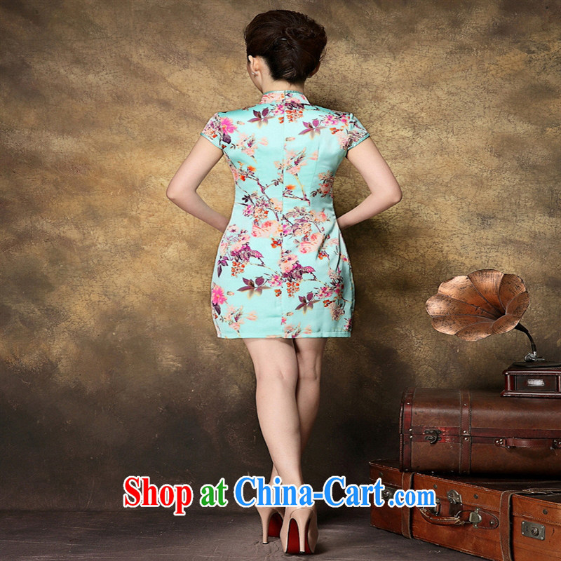 Summer 2015 new cheongsam wholesale Web store agent a generation of packets temperament stamp cheongsam dress picture color XXL, health concerns (Rvie .), and shopping on the Internet