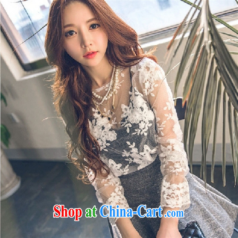 Ya-ting store spring 2015 new female Korean Dongdaemun creative stylish elegance solid T-shirt T-shirt picture color code, blue rain bow, and, shopping on the Internet