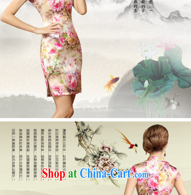 Stakeholders line cloud high-end Silk Cheongsam retro mulberry Silk Cheongsam dress Chinese Tang women AQE 003 Map Color XXL pictures, price, brand platters! Elections are good character, the national distribution, so why buy now enjoy more preferential! Health