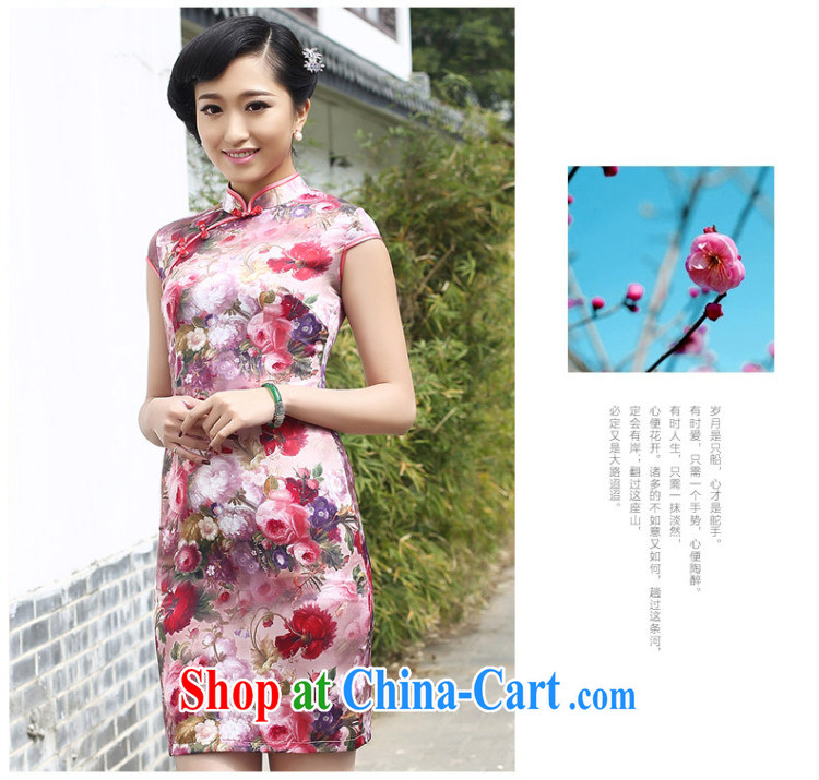 Stakeholders line cloud Silk Cheongsam stamp duty China wind high-end sauna Silk Cheongsam dress female AQE 8050 Map Color XXL pictures, price, brand platters! Elections are good character, the national distribution, so why buy now enjoy more preferential! Health